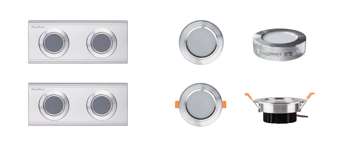 集中电源集中控制型消防应急照明灯具